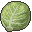 キャベツ