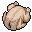 鶏肉(丸ごと)