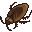 ゴキブリ
