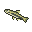 餌魚