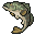オオクチバス