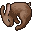 ウサギの死骸