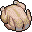 ターキー(丸ごと)